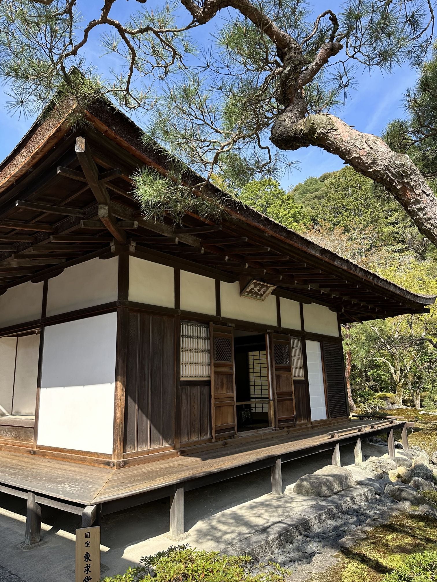 Theehuis_Japan_sayu_matcha